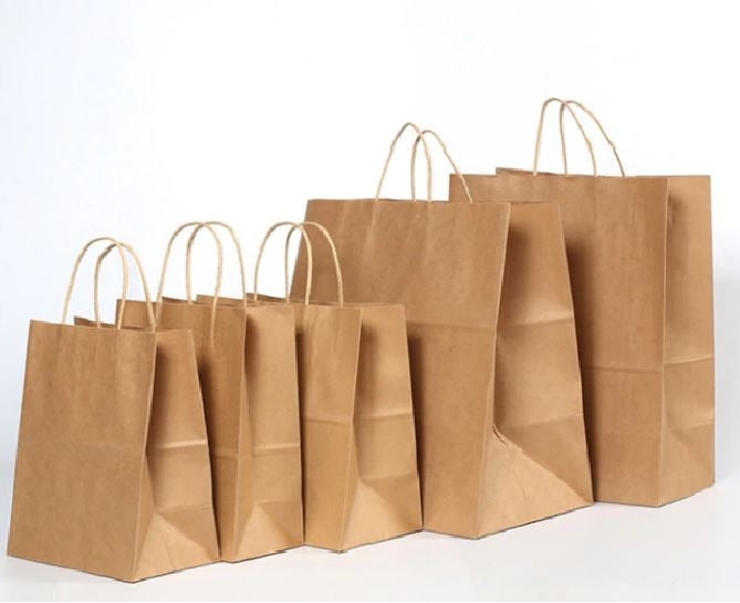 Eco Paper Bags (Pack of 100)