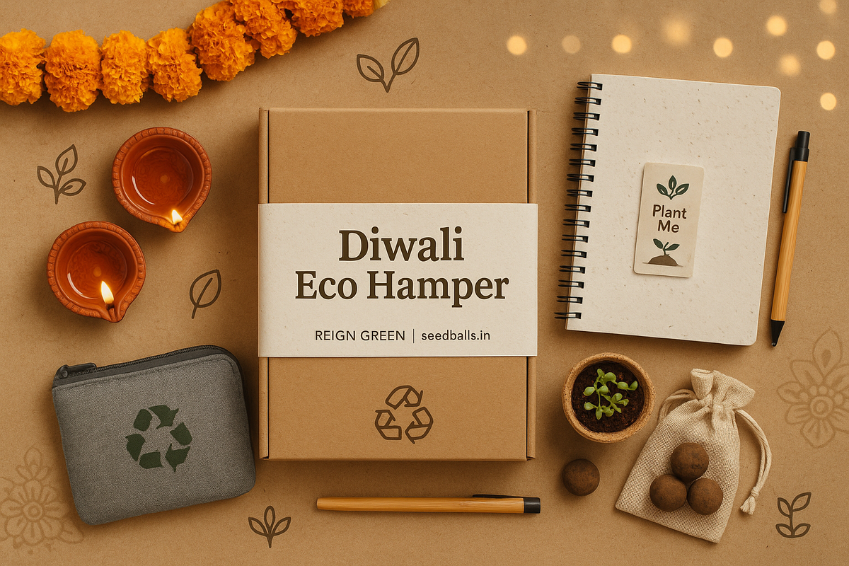 Eco Gift Hamper – Sustainable Combo